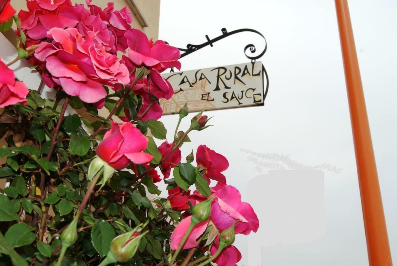 Casa Rural El Sauce. A 2,5 Km De Cuenca Capital Nohales 外观 照片